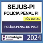 RATEIO POLÍCIA PENAL PI PÓS EDITAL ESTRATEGIA 2024 (SEJUS PI)