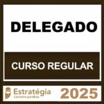 RATEIO-DELEGADO-DE-POLICIA-–-REGULAR-–-ESTRATEGIA-2025-.jpeg